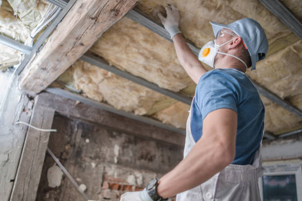Best Commercial Insulation in Smithville, MO