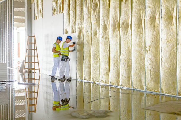 Best Insulation Maintenance and Repair in Smithville, MO